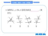 沪科版七年级数学下第10章相交线、平行线与平移第10章常考命题点突破习题课件