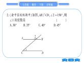 沪科版七年级数学下单元周周测（十一）（10.3-10.4）习题课件