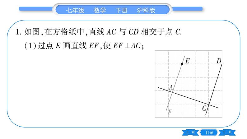 沪科版七年级数学下专项基本功训练(十五)有关平行线、垂线、平移的画图习题课件第2页