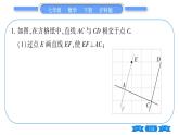 沪科版七年级数学下专项基本功训练(十五)有关平行线、垂线、平移的画图习题课件