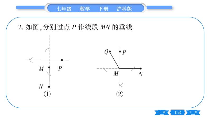 沪科版七年级数学下专项基本功训练(十五)有关平行线、垂线、平移的画图习题课件04