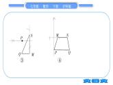 沪科版七年级数学下专项基本功训练(十五)有关平行线、垂线、平移的画图习题课件