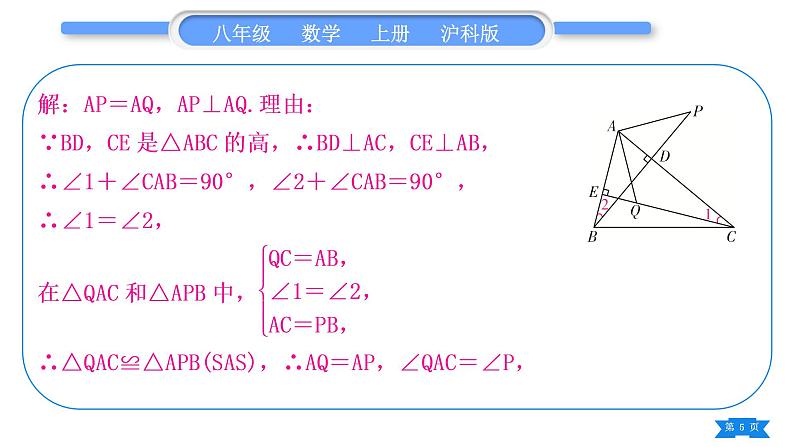 沪科版八年级数学上第14章全等三角形基本功强化训练(五)全等三角形的性质与判定综合应用(习题课件)05