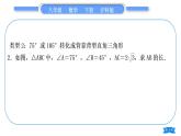 沪科版八年级数学下第18章勾股定理18.1勾股定理知能素养小专题(七）化斜为直问题习题课件