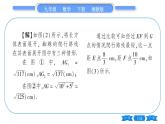 湘教版九年級數學下第3章投影與視圖3.2直棱柱、圓錐的側面展開圖習題課件