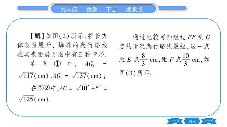 湘教版九年级数学下第3章投影与视图3.2直棱柱、圆锥的侧面展开图习题课件第4页