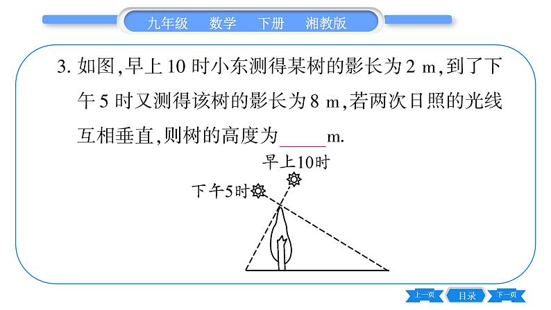 湘教版九年级数学下第3章投影与视图第3章常考命题点突破习题课件05