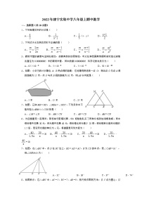 湖南省株洲市建宁实验中学2022-2023学年八年级上学期期中考试数学试题