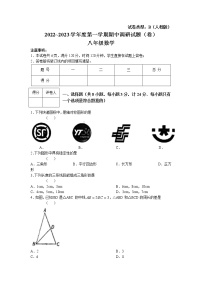 陕西省渭南市潼关县2022-2023学年八年级上学期期中考试数学试题(无答案)