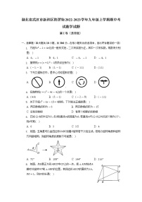 湖北省武汉市新洲区阳逻街2022-2023学年九年级上学期期中考试数学试题.1（含答案）