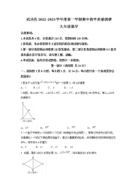 陕西省咸阳市武功县2022-2023学年九年级上学期期中考试数学试题