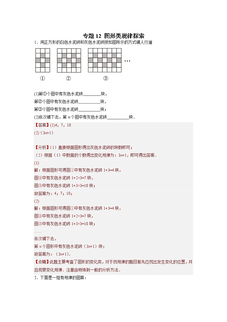 专题12 图形类规律探索（解析版）第1页