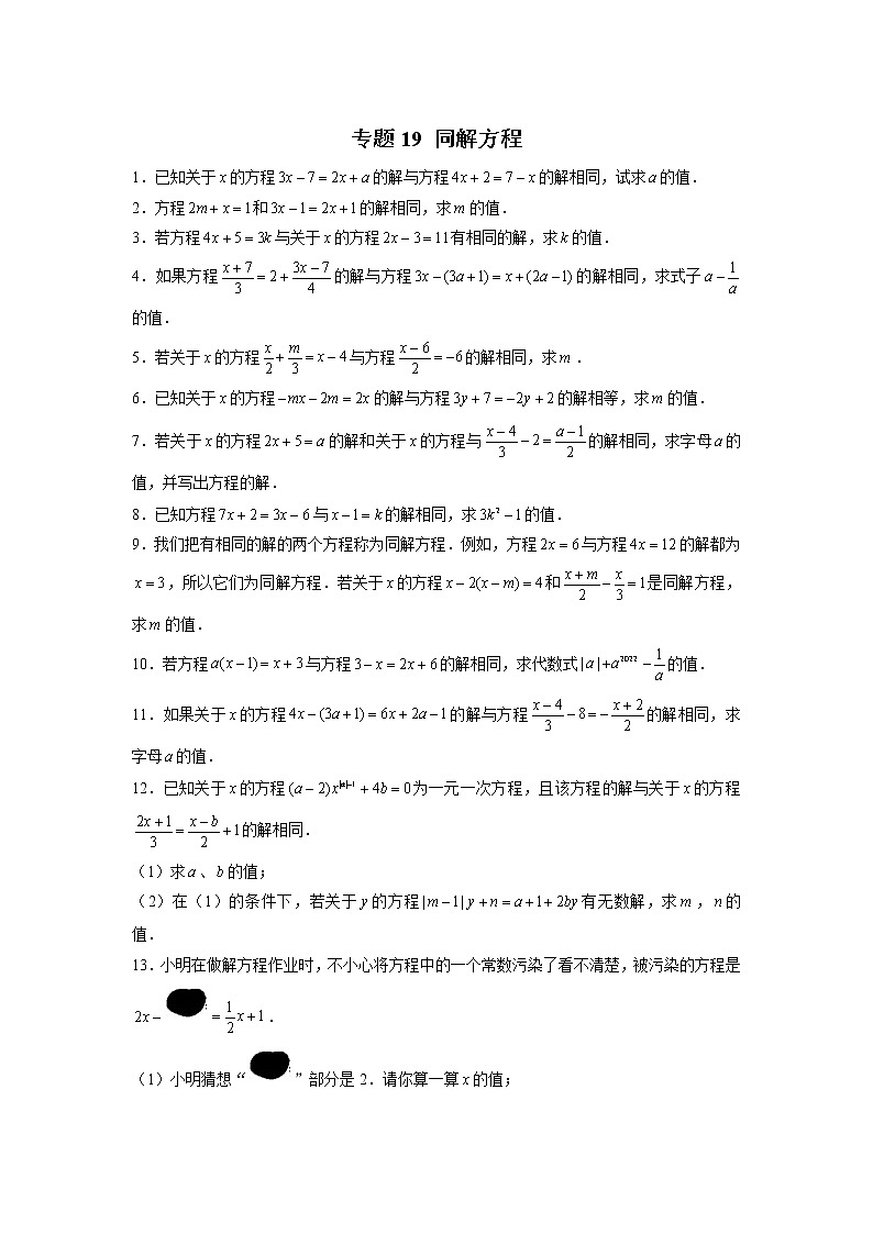 专题19 同解方程（原卷版）第1页