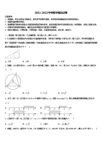 新疆吉木乃初级中学2021-2022学年中考数学仿真试卷含解析