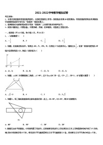 新疆乌鲁木齐市高新区（新市区）2022年中考数学对点突破模拟试卷含解析