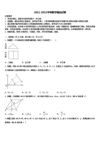 云南省昭通市昭阳区苏家院乡中学2021-2022学年中考数学模拟预测题含解析