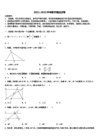 浙江省杭州杭州经济开发区五校联考2021-2022学年中考数学押题试卷含解析