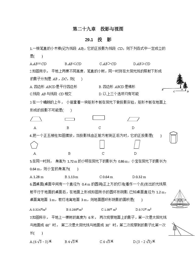 29.1《投影》同步练习（含答案）01
