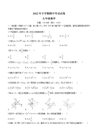 湖南省邵阳市武冈市2022-2023学年九年级上学期期中考试数学试题 (含答案)