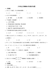 云南省文山州马关县2022年八年级上学期期末考试数学试题及答案