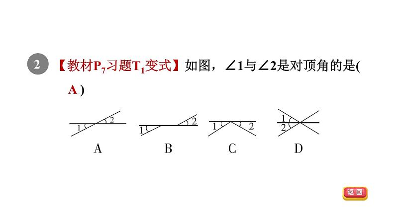 人教版七年级数学下册集训课堂测素质相交线课件04