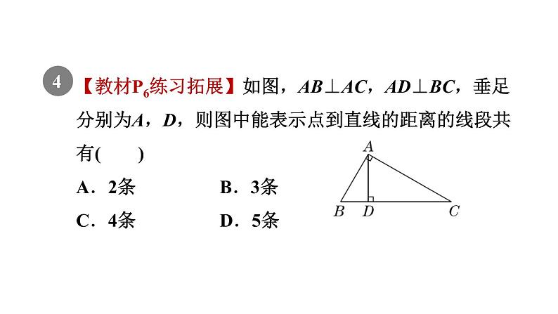 人教版七年级数学下册5.1.3垂线段的性质课件06