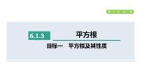 人教版七年级下册6.1 平方根教学演示课件ppt