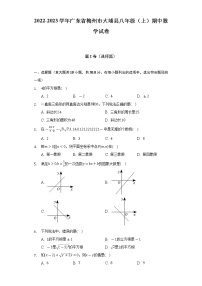 2022-2023学年广东省梅州市大埔县八年级（上）期中数学试卷（含解析）