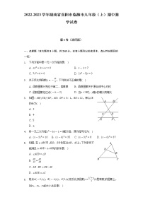 2022-2023学年湖南省岳阳市临湘市九年级（上）期中数学试卷（含解析）