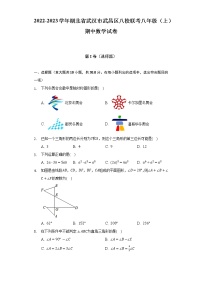 2022-2023学年湖北省武汉市武昌区八校联考八年级（上）期中数学试卷（含解析）