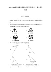 2022-2023学年安徽省芜湖市市区八年级（上）期中数学试卷（含解析）