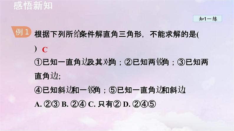 人教版数学九年级下册28.2.1解直角三角形课件05