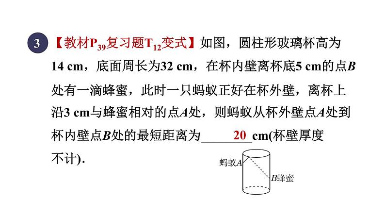 人教版数学八年级下册17.1.2目标二勾股定理在求最短距离中的应用课件第5页