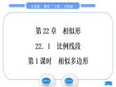 沪科版九年级数学上第22章相似形22.1比例线段第1课时相似多边形习题课件