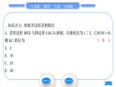 沪科版九年级数学上第22章相似形22.1比例线段第1课时相似多边形习题课件