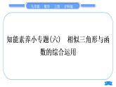 滬科版九年級數(shù)學(xué)上第22章相似形知能素養(yǎng)小專題(六)相似三角形與函數(shù)的綜合運(yùn)用習(xí)題課件