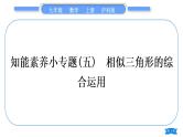 沪科版九年级数学上第22章相似形知能素养小专题(五)相似三角形的综合运用习题课件