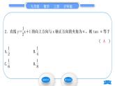 沪科版九年级数学上第23章解直角三角形23.2解直角三角形及其应用第5课时直线y＝kx＋b(k＞0)与x轴正方向的夹角习题课件