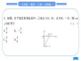 沪科版九年级数学上第23章解直角三角形章末复习与提升习题课件