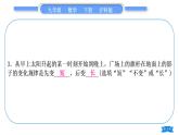 沪科版九年级数学下第25章投影与视图章末复习与提升习题课件