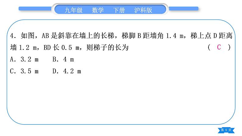 沪科版九年级数学下期末复习专题(三)相似形习题课件05