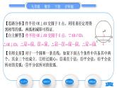 滬科版九年級數(shù)學(xué)下第24章圓24.2.1垂徑分弦習(xí)題課件