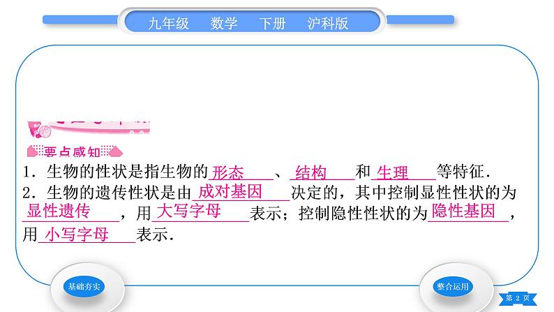 沪科版九年级数学下第26章概率初步26.4综合与实践概率在遗传学中的应用习题课件02