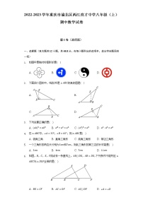 2022-2023学年重庆市渝北区两江育才中学八年级（上）期中数学试卷（含解析）