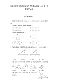 2022-2023学年陕西省延安大学附中八年级（上）第一阶段数学试卷（含解析）