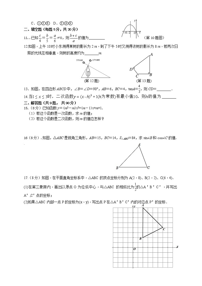 安徽省涡阳县曹市中学 2022-2023学年九年级上学期期中数学试卷 (含答案)第2页