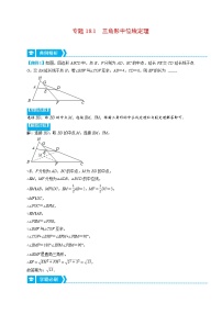 专题18.1 三角形中位线定理（重点题专项讲练）-最新八年级数学下册从重点到压轴（人教版）