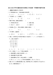 _安徽省宿州市泗县2022-2023学年八年级上学期期中数学试卷 (含答案)