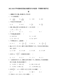 湖南省娄底市涟源市2022-2023学年七年级上学期期中数学试卷  (含答案)