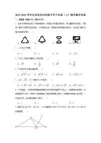 江苏省苏州市实验中学校2022-2023学年八年级上学期期中考试数学试卷 (含答案)